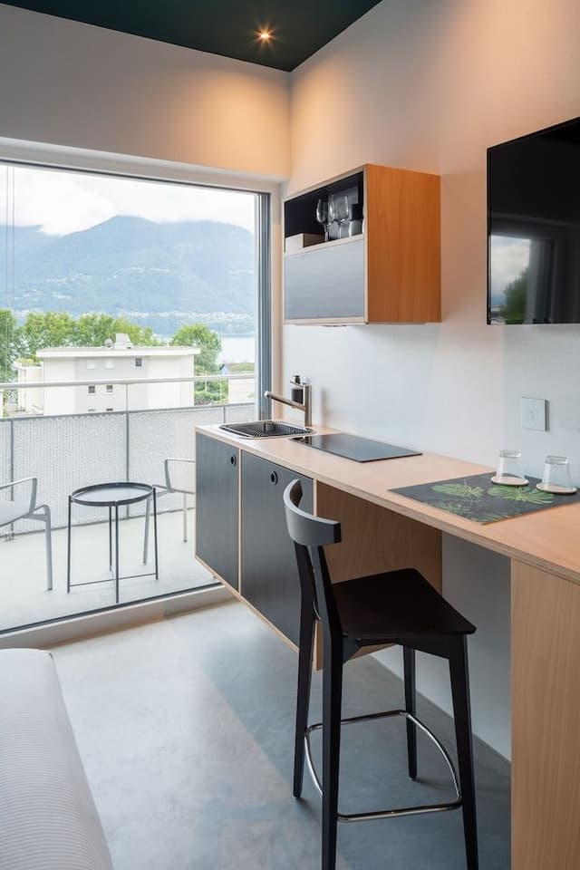 Studio, Balcony, Lake View