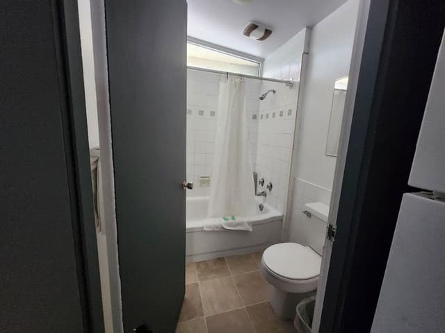 Suite (2 Queen Beds and 1 Double)