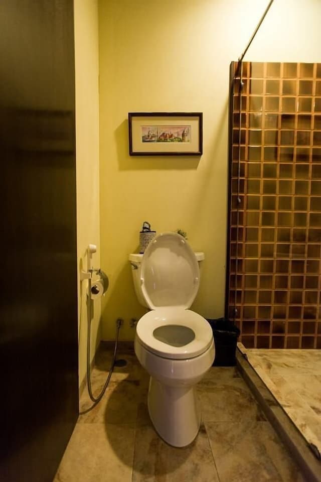 Standard Double Room, Terrace, City View