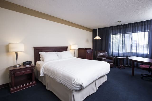 Room, 1 Queen Bed (Queen)