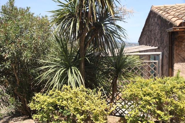 Standard Apartment, Ensuite, Sea View (T2)