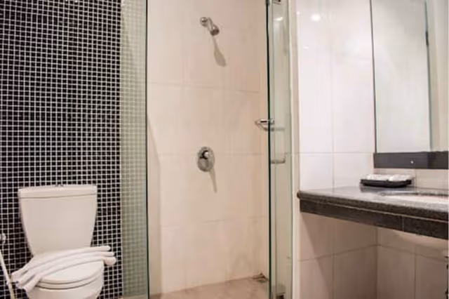 Superior Double or Twin Room, Non Smoking
