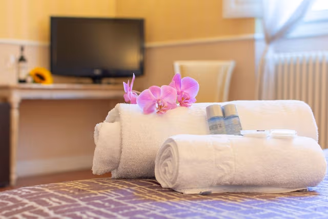 Classic Double or Twin Room