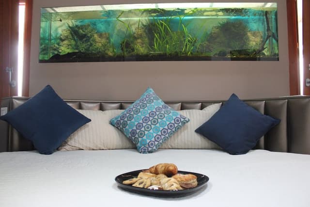 Exclusive Apartment, Terrace