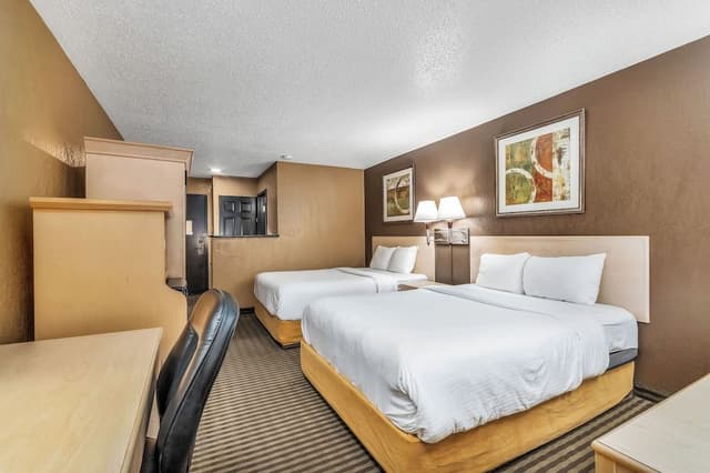 Standard Room, 2 Double Beds