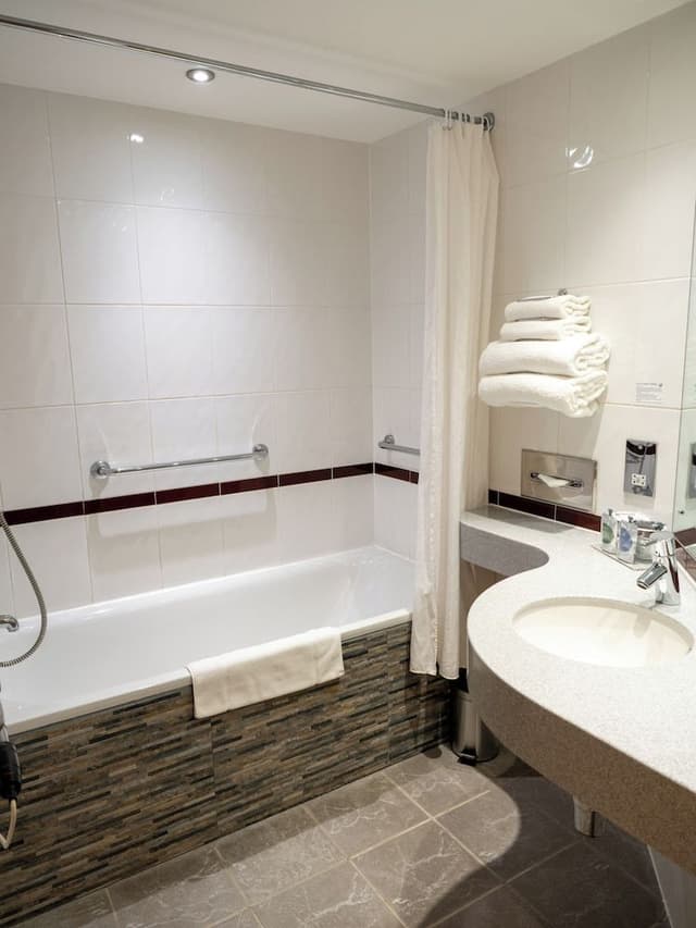 Standard Double, 1 Double Bed with sofa Bed
