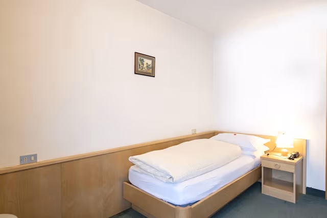 Single Room, Balcony, Mountain View
