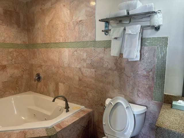 Room, 1 King Bed, Jetted Tub