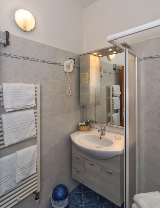 Comfort Double or Twin Room