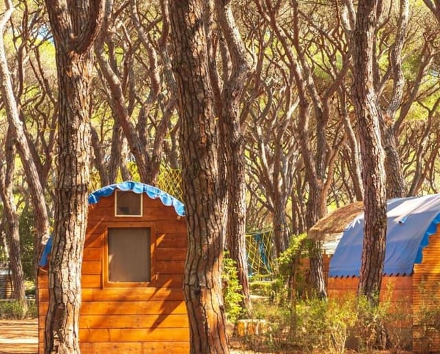 Economy Tent, Shared Bathroom