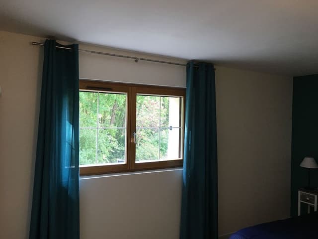 Comfort Suite (Papillon)