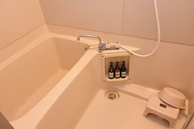 Traditional Room, Smoking (with Private Bathroom, Twin use only)