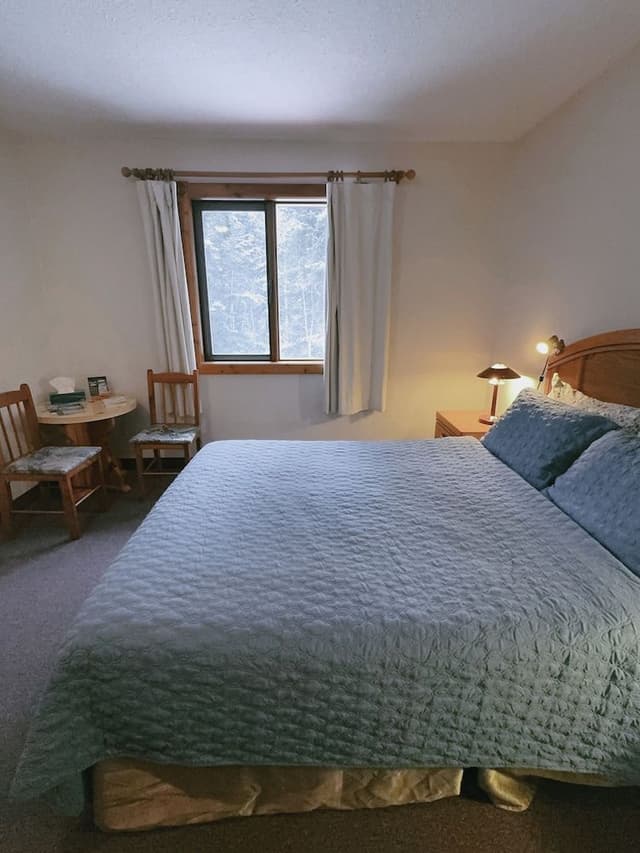 Comfort Room, 1 Queen Bed