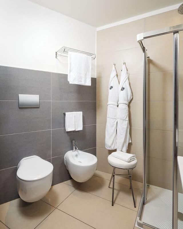 Classic Double or Twin Room