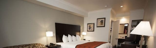 Classic Single Room