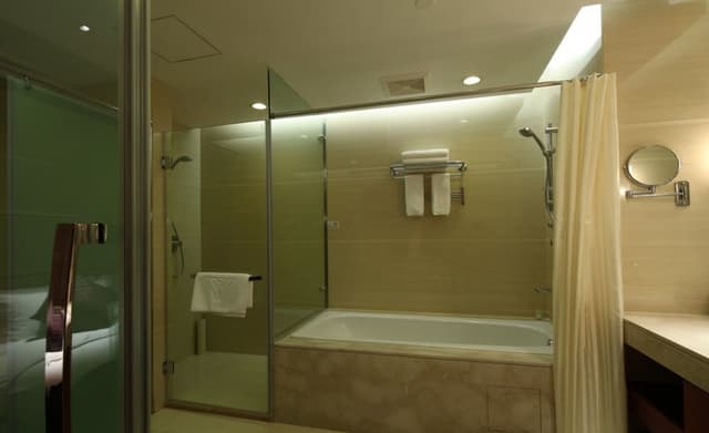 Deluxe Suite with View