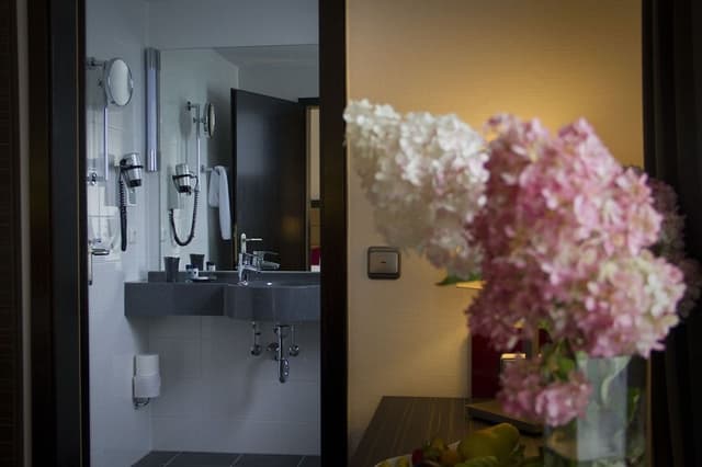 Comfort Single Room