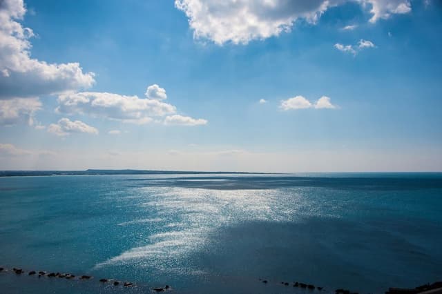 Executive Suite, Sea View