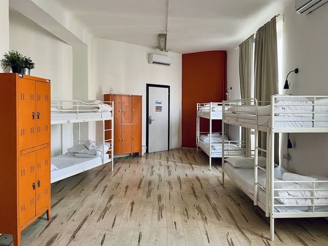 Shared Dormitory, Mixed Dorm (12 pax)