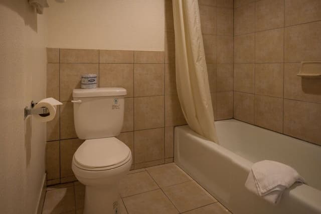 Basic Room, 1 King Bed