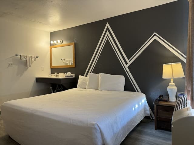 Basic Room, 1 King Bed