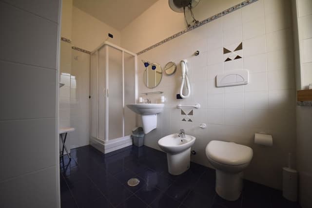 Royal Triple Room, Sea View