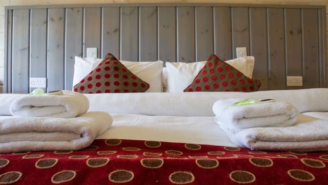 Superior Double or Twin Room