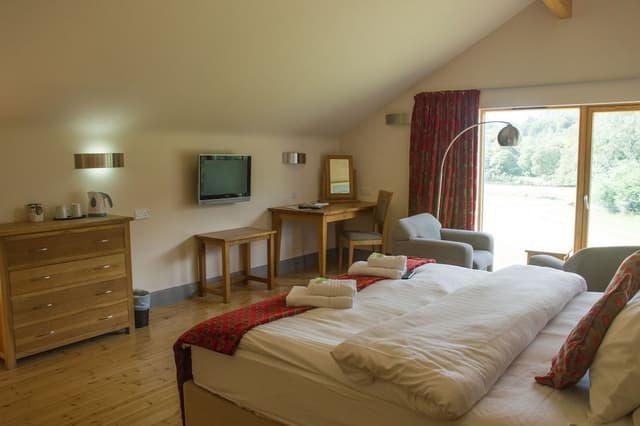 Superior Double or Twin Room