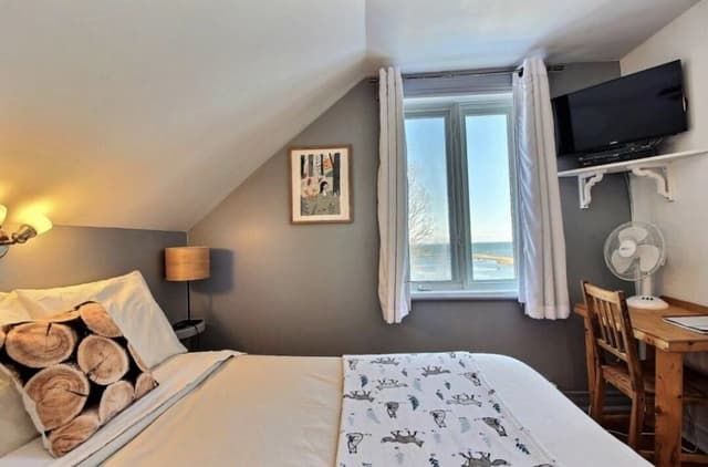 Standard Room, 1 Double Bed, Private Bathroom, River View