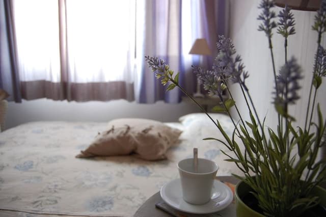 Basic Room