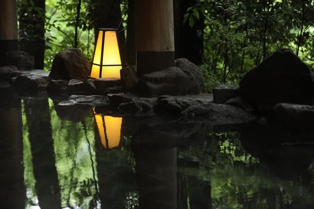 Standard Japanese-Style Room with Mountain View