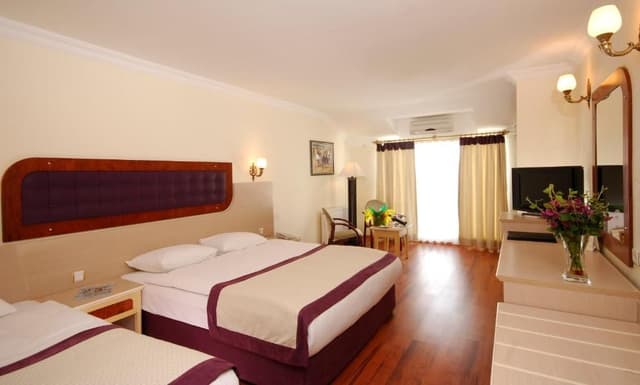Executive Double or Twin Room
