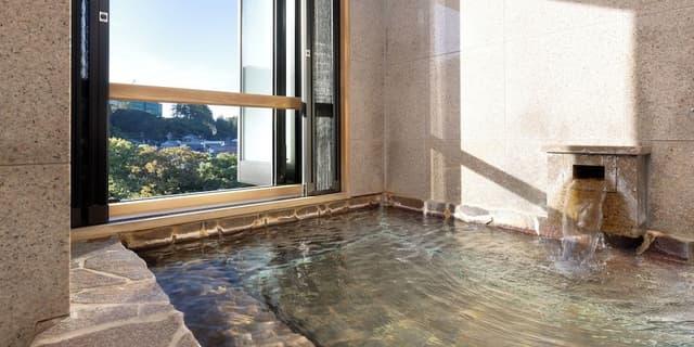 High-Grade Japanese-Western-style Room [Miyabi] - River view, king-size, with scenic bath hot spring