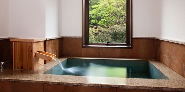 High-Grade Japanese-Western Room [Hoshi] River view, twin beds, with indoor bath Onsen Non Smoking
