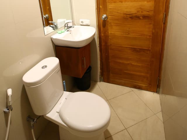 Deluxe Double or Twin Room with Balcony