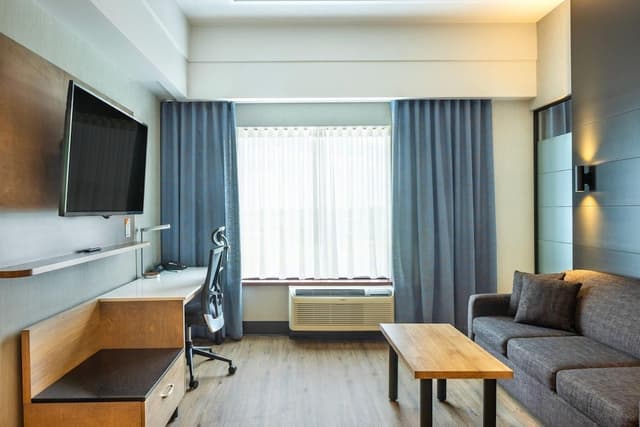 Suite, 1 King Bed with Sofa bed