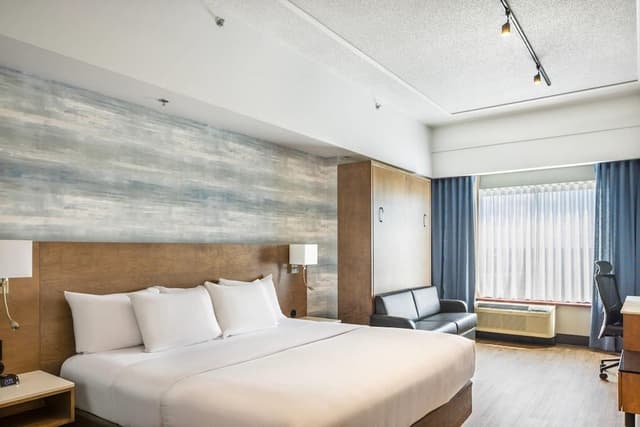 Room, 1 King Bed, Non Smoking
