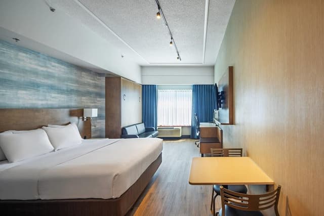 Room, 1 King Bed, Non Smoking