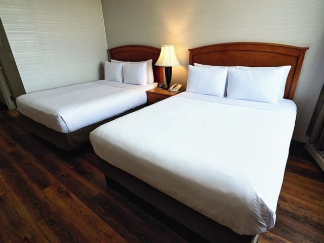 Room, 2 Queen Beds