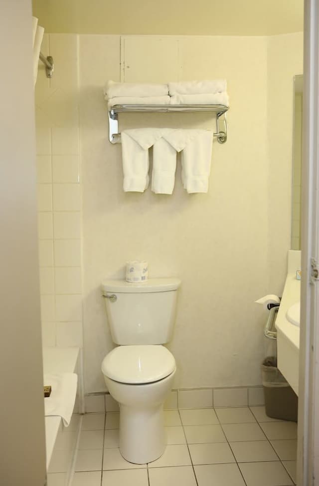 Standard Room, 2 Double Beds