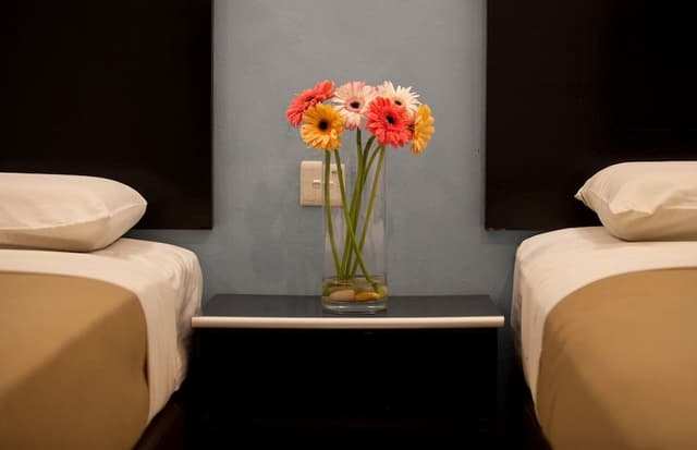 Executive Deluxe Room