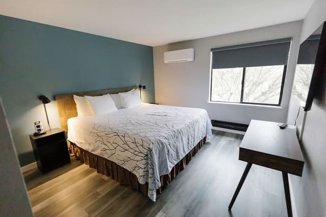 Suite, 1 King Bed