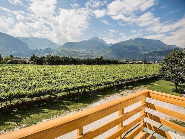 Superior Apartment, 1 Bedroom (Rocchetta)