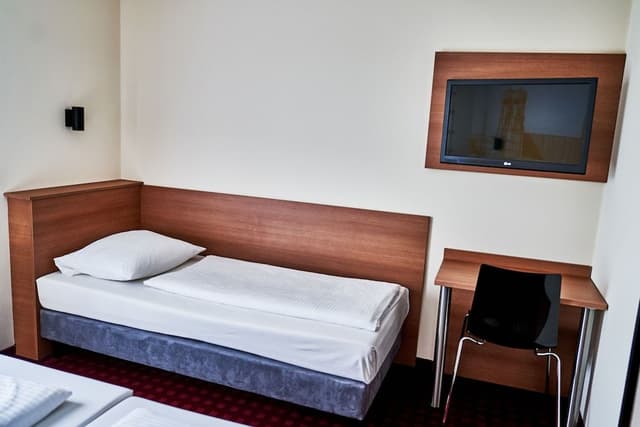 Basic Triple Room