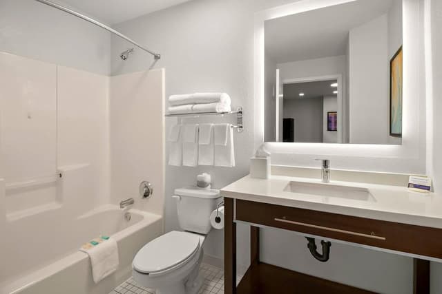 Room, 1 Queen Bed, Accessible, Non Smoking (Roll-In Shower)