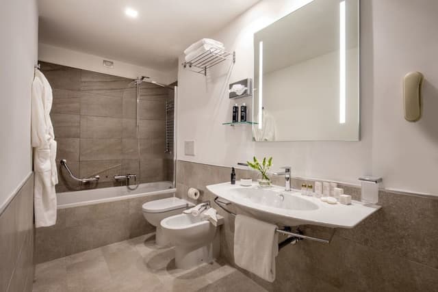 Classic Double or Twin Room
