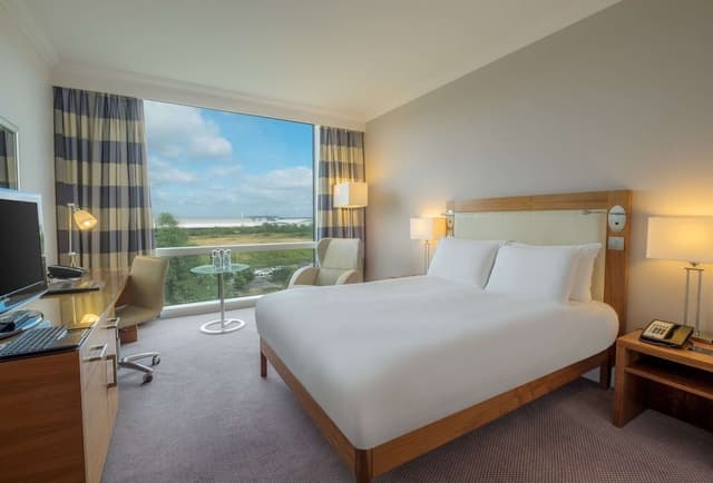Room, 1 King Bed