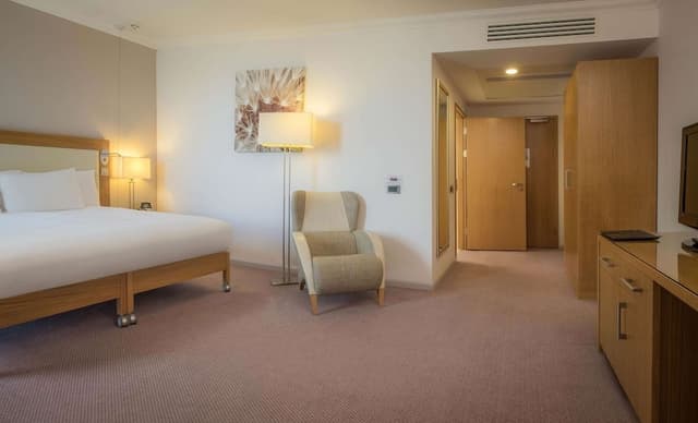 Room, 1 King Bed