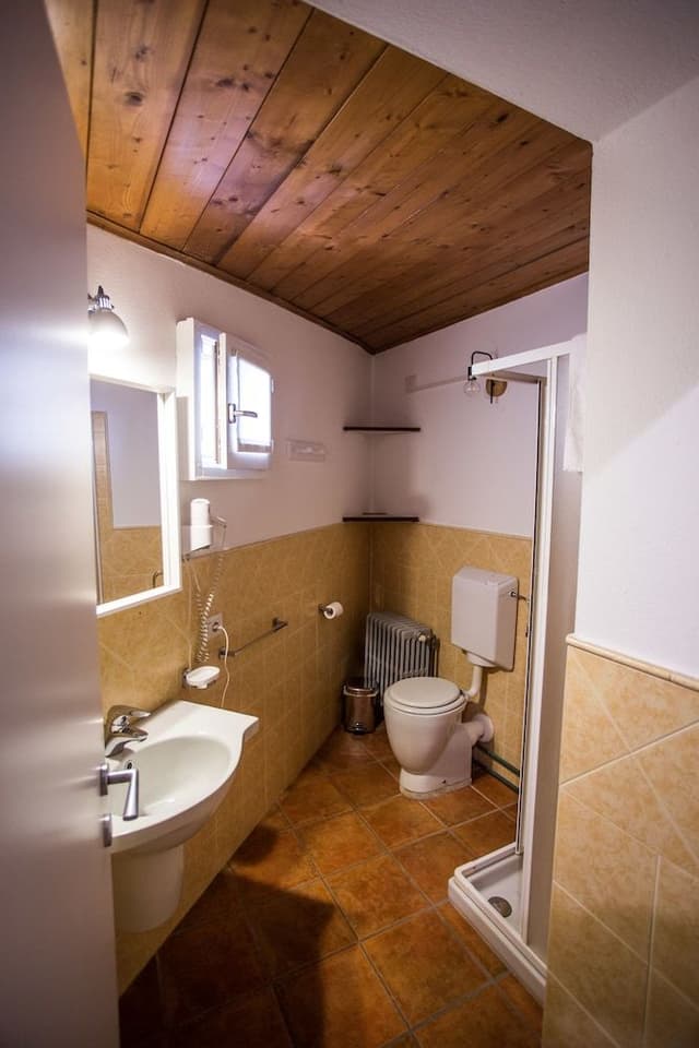 Basic Double Room