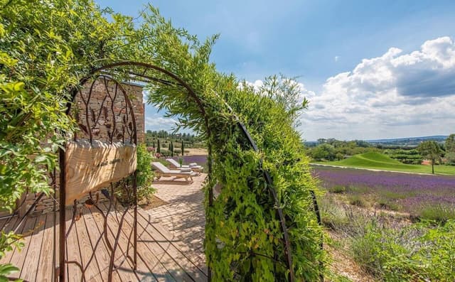 Suite Nature Lavande
